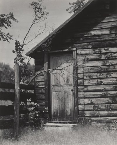  da Alfred Stieglitz