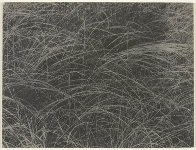 Equivalente da Alfred Stieglitz