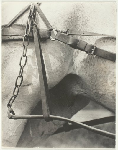 Equivalente, America Spirituale da Alfred Stieglitz