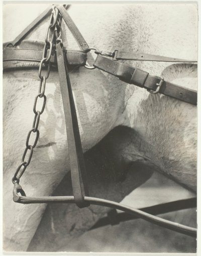 Equivalente, Spiritual America, 1923 da Alfred Stieglitz