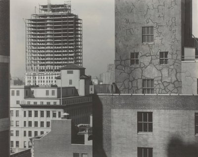 Dalla mia finestra ad An American Place, sud-ovest, 1932 da Alfred Stieglitz
