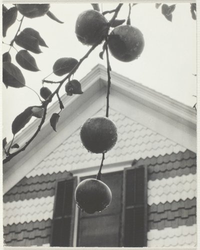 Gable e mele da Alfred Stieglitz