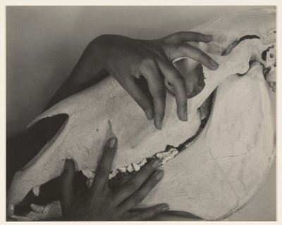  da Alfred Stieglitz