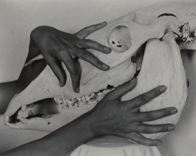  da Alfred Stieglitz