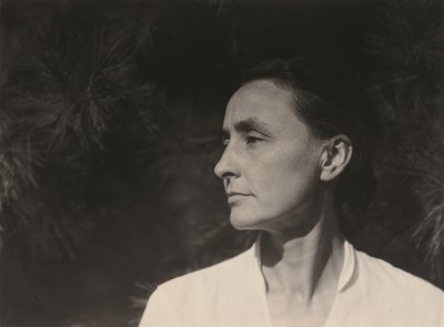  da Alfred Stieglitz
