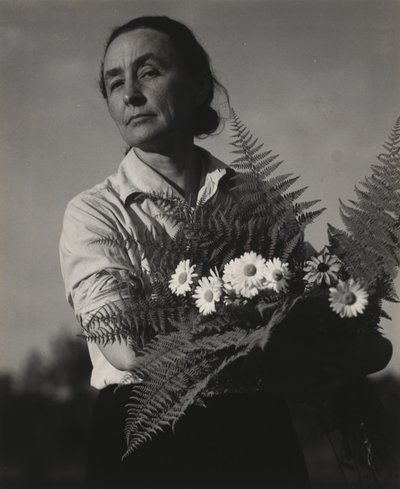  da Alfred Stieglitz