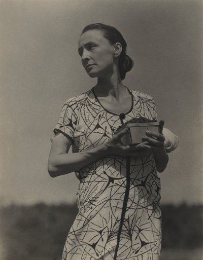  da Alfred Stieglitz