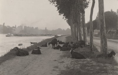  da Alfred Stieglitz