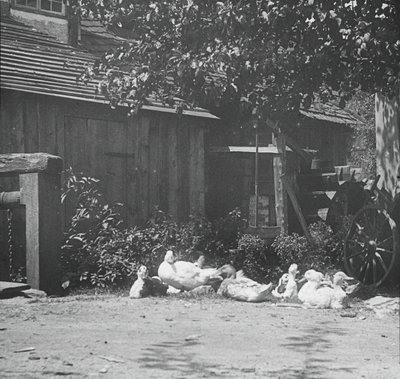 Gutach, 1894 da Alfred Stieglitz