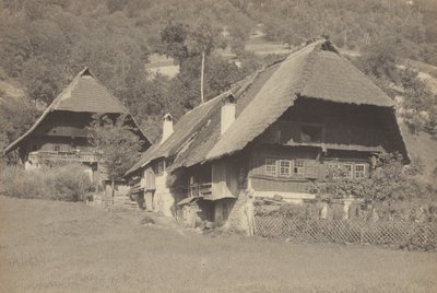  da Alfred Stieglitz