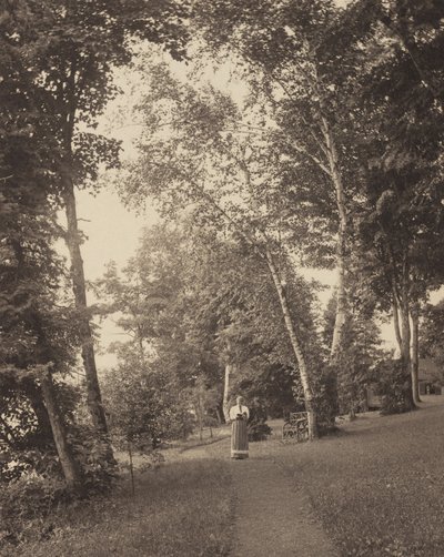  da Alfred Stieglitz