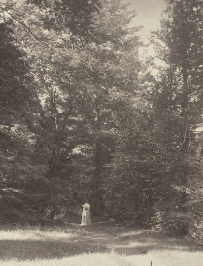  da Alfred Stieglitz