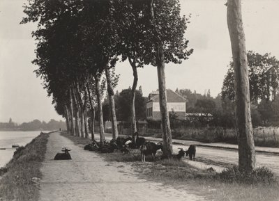 Verso casa da Alfred Stieglitz