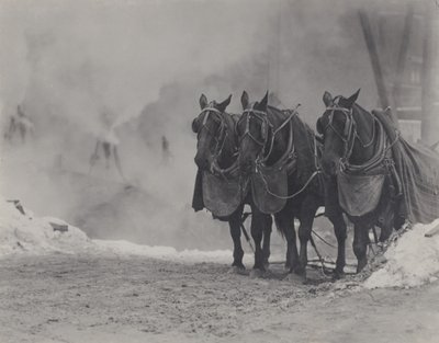  da Alfred Stieglitz