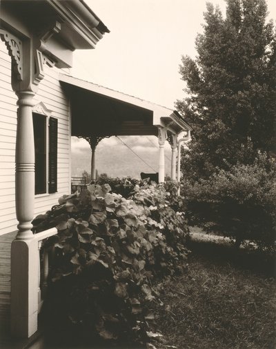 Casa e foglie d