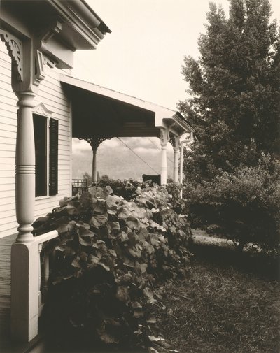 Casa e foglie di vite da Alfred Stieglitz