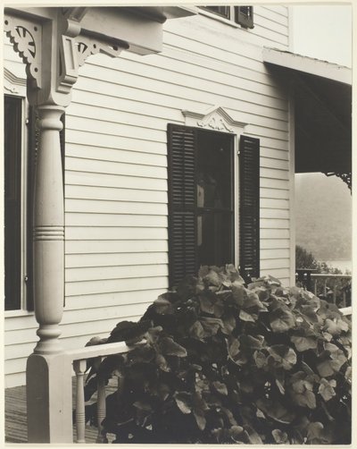 Casa e foglie di vite da Alfred Stieglitz