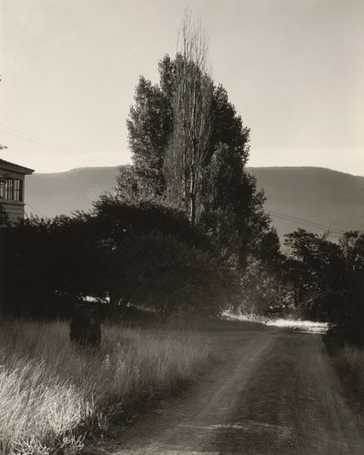  da Alfred Stieglitz