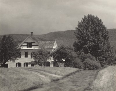 da Alfred Stieglitz