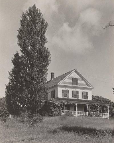  da Alfred Stieglitz