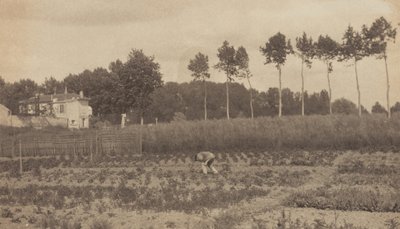  da Alfred Stieglitz