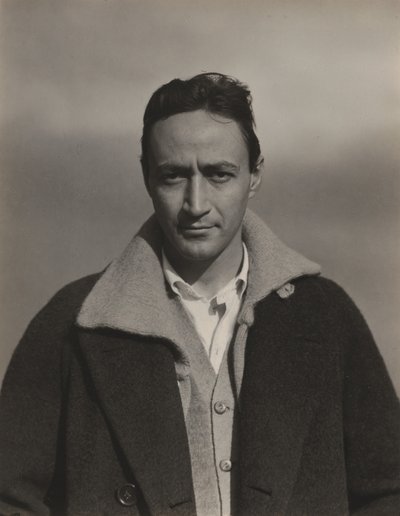  da Alfred Stieglitz