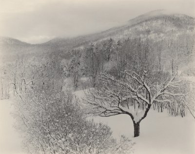  da Alfred Stieglitz