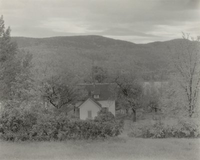  da Alfred Stieglitz