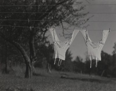  da Alfred Stieglitz