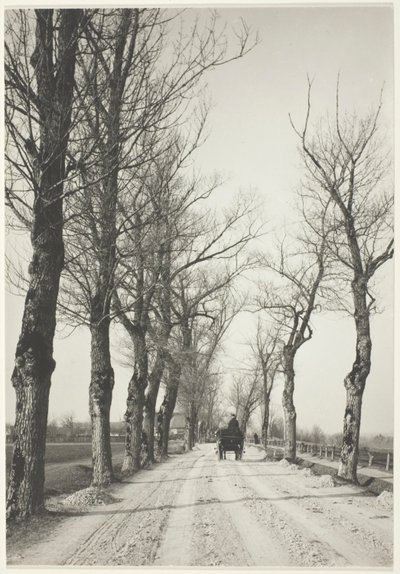 Giorni di novembre da Alfred Stieglitz