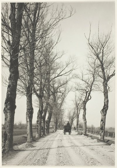 Giorni di novembre, 1887, stampato 192039 da Alfred Stieglitz