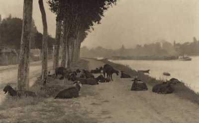  da Alfred Stieglitz