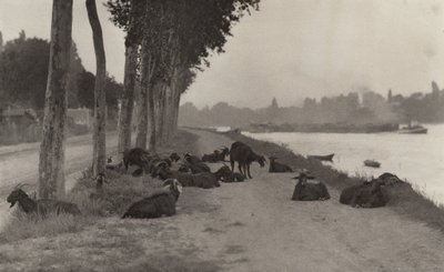  da Alfred Stieglitz