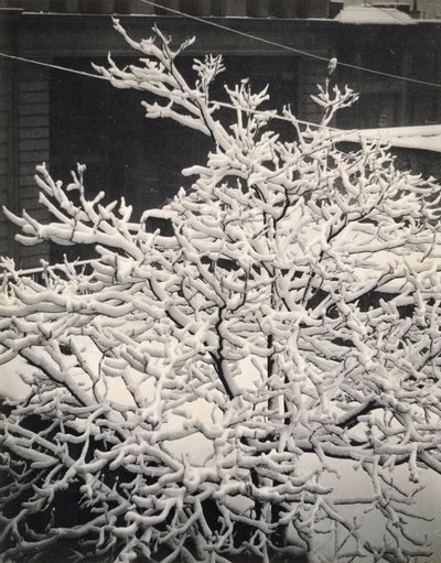Fuori dalla finestra - 291 - N.Y. da Alfred Stieglitz