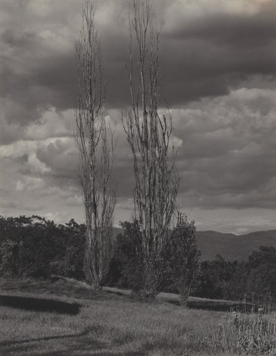 da Alfred Stieglitz