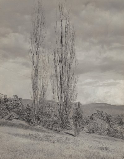  da Alfred Stieglitz