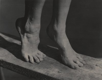  da Alfred Stieglitz