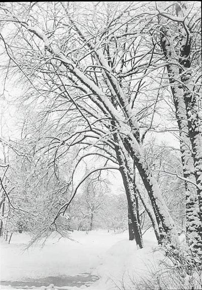 Paesaggio innevato, Berlino da Alfred Stieglitz