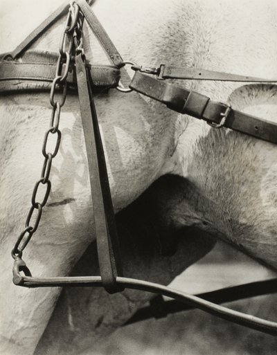 America Spirituale: Canti del Cielo A1 da Alfred Stieglitz