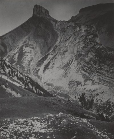  da Alfred Stieglitz