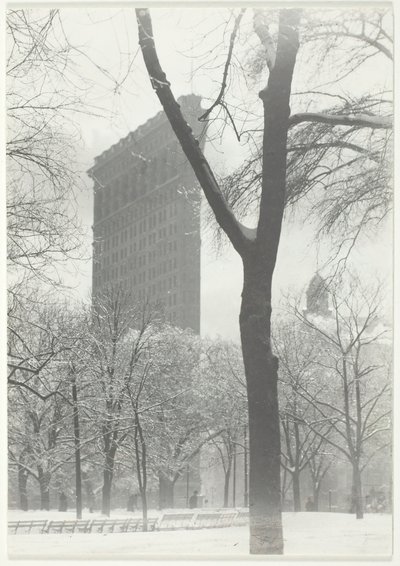 Il Flatiron, 1903, stampato 1920-1939 da Alfred Stieglitz