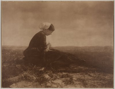 Il Render della rete da Alfred Stieglitz
