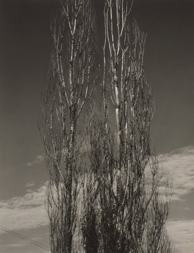  da Alfred Stieglitz