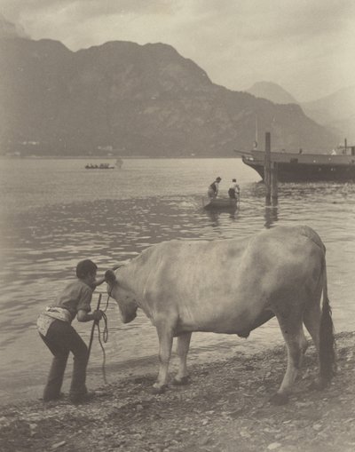  da Alfred Stieglitz