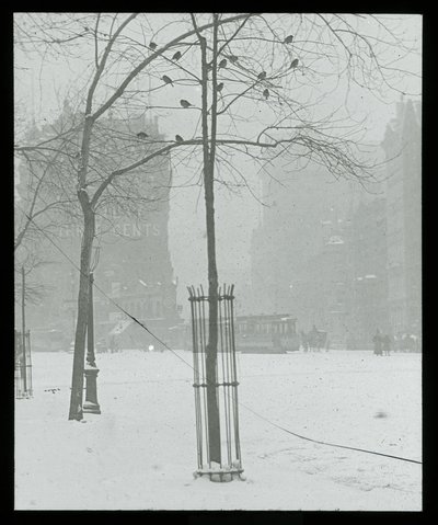 Albero nella neve, New York City da Alfred Stieglitz