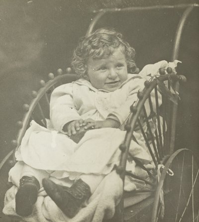 Senza titolo Howard Schubart in carrozza, 1893 da Alfred Stieglitz