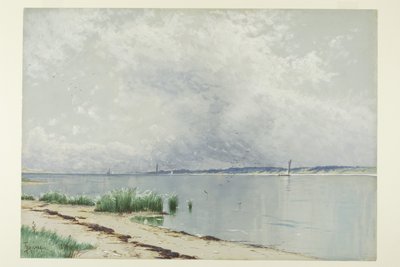 Canne Riflesse da Alfred Thompson Bricher