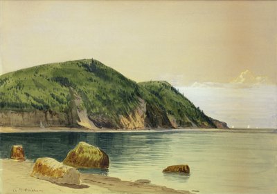 Rocky Shore (acquerello su tavola) da Alfred Thompson Bricher