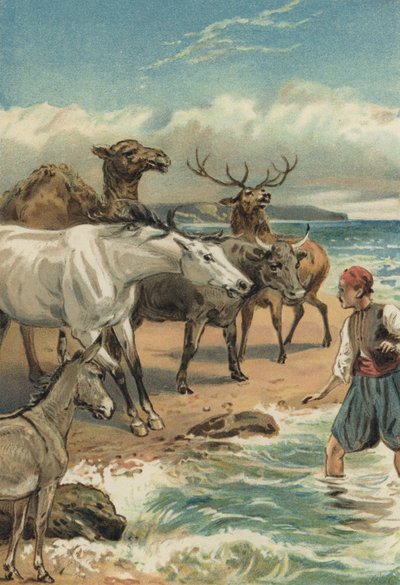 Le mille e una notte: La storia di Beder e Giauhare da Alfred W. Cooper