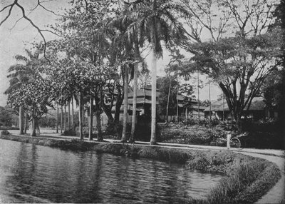 Kandy - Un angolo pittoresco del lago, c1890, 1910 da Alfred William Amandus Plate